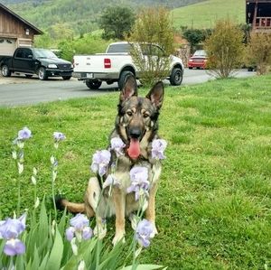 Meet your Posher, Riçk